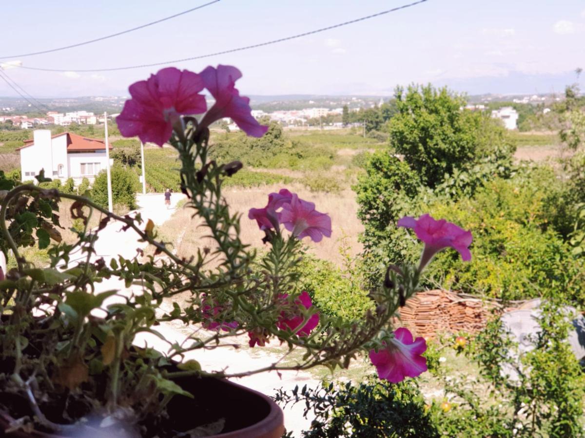 Delia Apartamento Međugorje Exterior foto